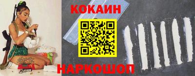 тгк Кингисепп