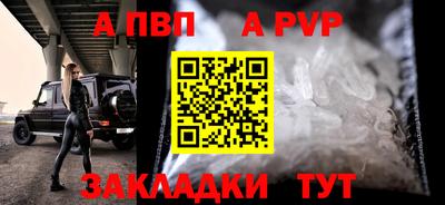 тгк Кингисепп