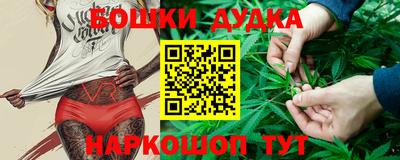 тгк Кингисепп