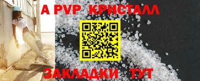 тгк Кингисепп