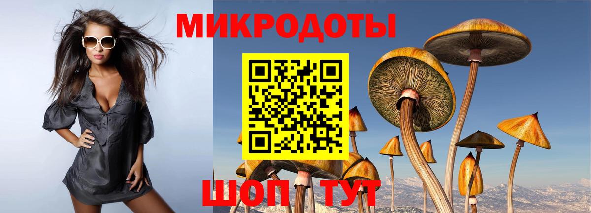 сколько стоит  Псилоцибиновые грибы ЛСД  Псилоцибиновые грибы прущие грибы  Вход с VPN  Красногорск 